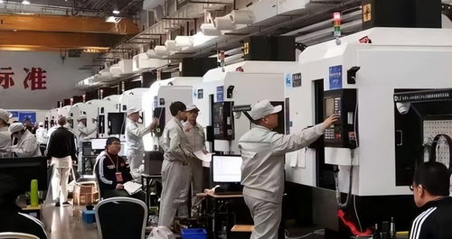 從北大退學到技校深造 青海高考學霸周浩的非凡人生與安防技術咨詢之路